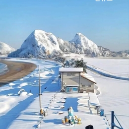 피드에 업로드 된 이미지