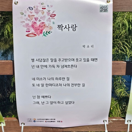 피드 이미지