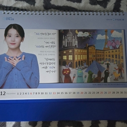 피드에 업로드 된 이미지