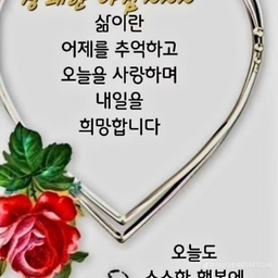 피드에 업로드 된 이미지