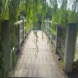 피드에 업로드 된 이미지