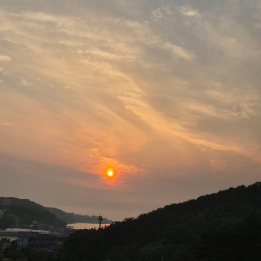 피드 이미지