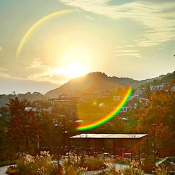 피드에 업로드 된 이미지