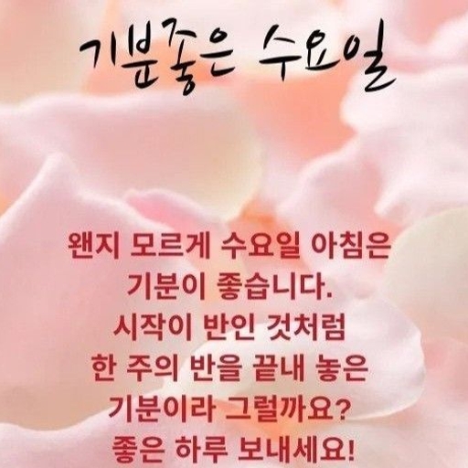 피드 이미지