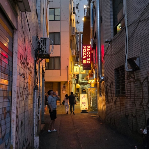 피드 이미지