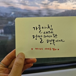 피드에 업로드 된 이미지