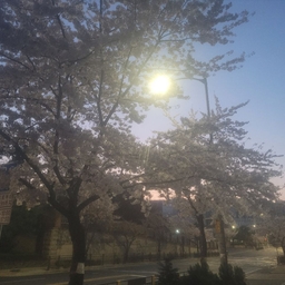 피드에 업로드 된 이미지