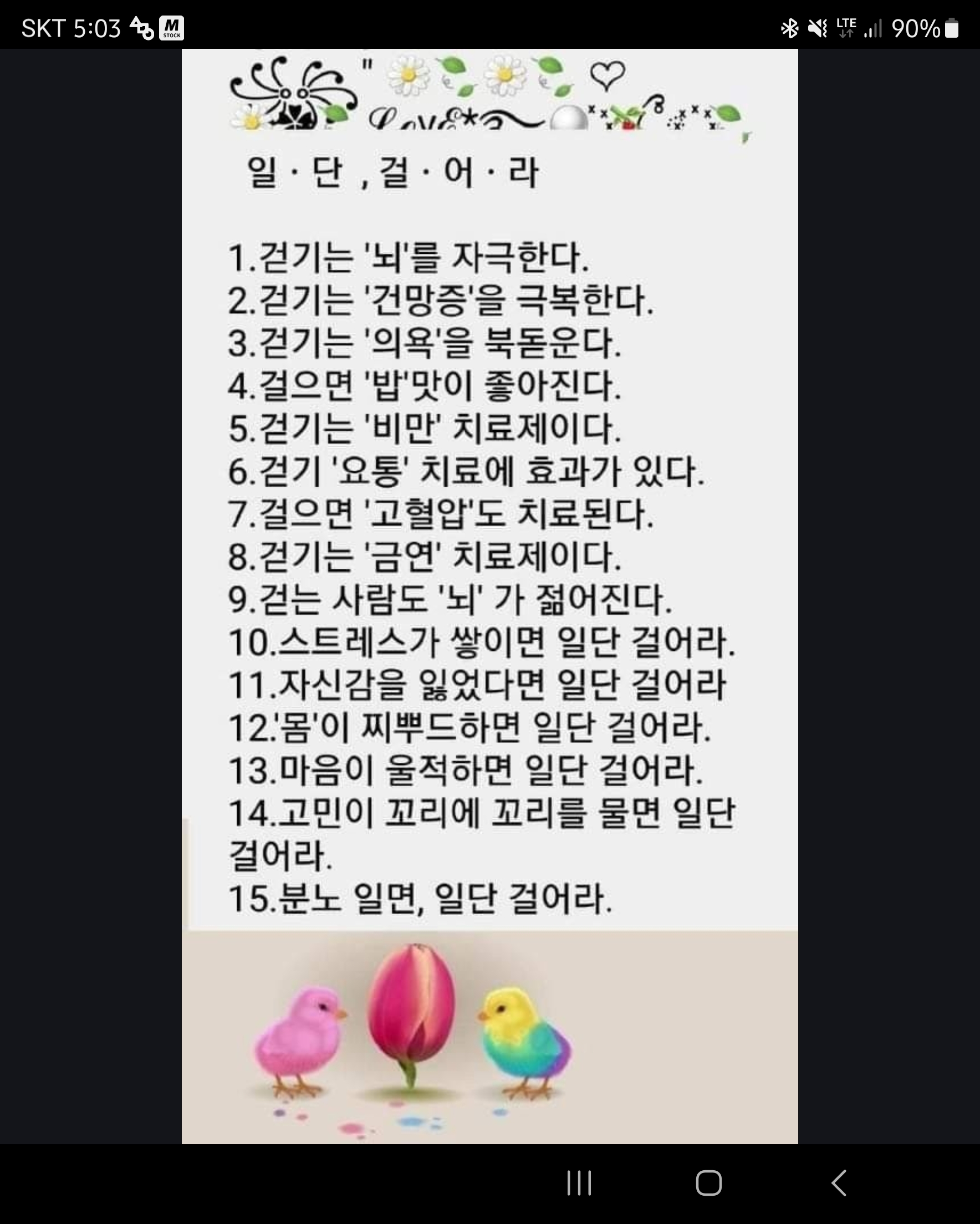 피드 이미지