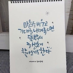 피드에 업로드 된 이미지