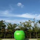 멤버 프로필