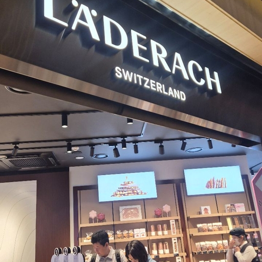 피드 이미지