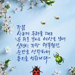 피드에 업로드 된 이미지