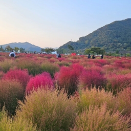 피드에 업로드 된 이미지