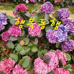 모임 이미지