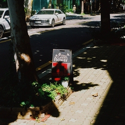 피드에 업로드 된 이미지