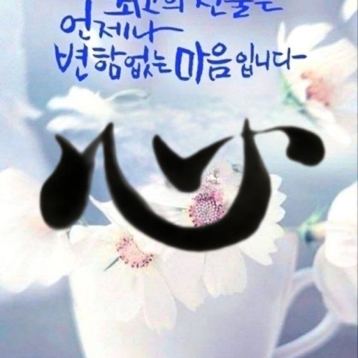 피드 이미지