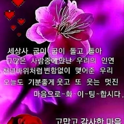 피드에 업로드 된 이미지