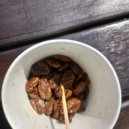 피드에 업로드 된 이미지