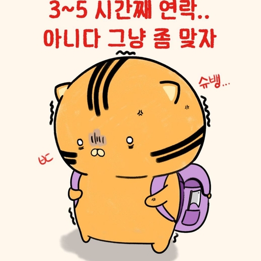 피드 이미지