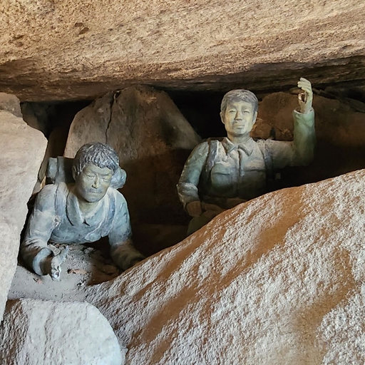 피드 이미지