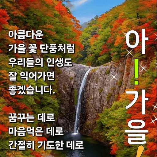 피드 이미지