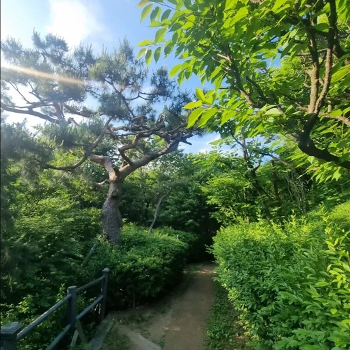 피드 이미지