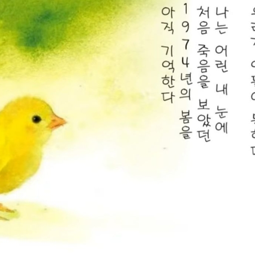 피드 이미지