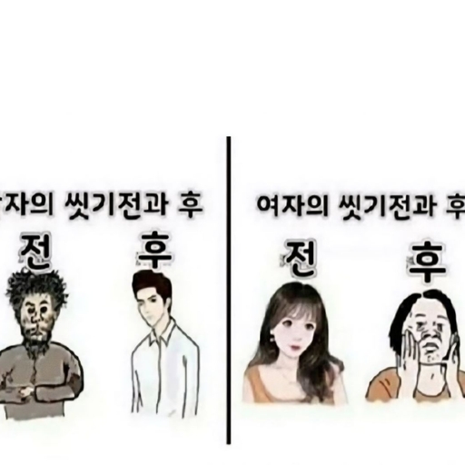 피드 이미지