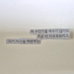 피드에 업로드 된 이미지