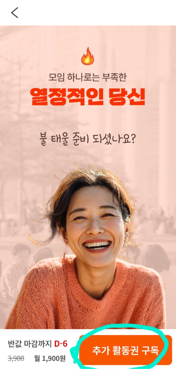 피드 이미지
