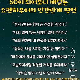 피드에 업로드 된 이미지