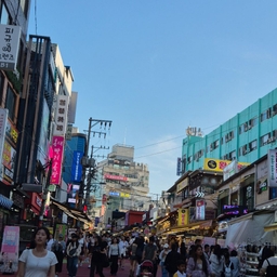 피드에 업로드 된 이미지