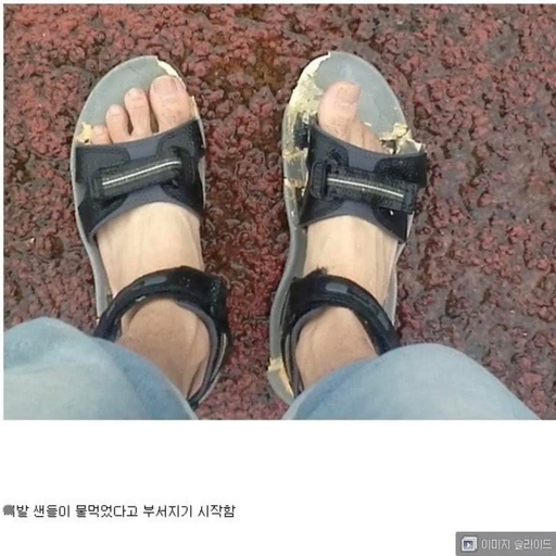 피드 이미지