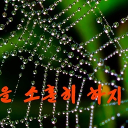 피드에 업로드 된 이미지
