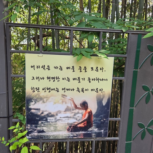 피드 이미지