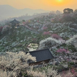 피드에 업로드 된 이미지