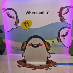 피드에 업로드 된 이미지