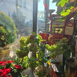 피드에 업로드 된 이미지