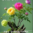 멤버 프로필