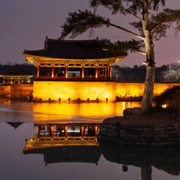 피드에 업로드 된 이미지