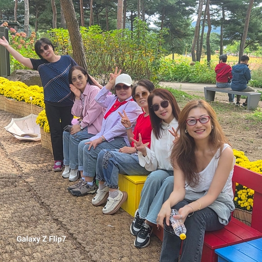피드 이미지