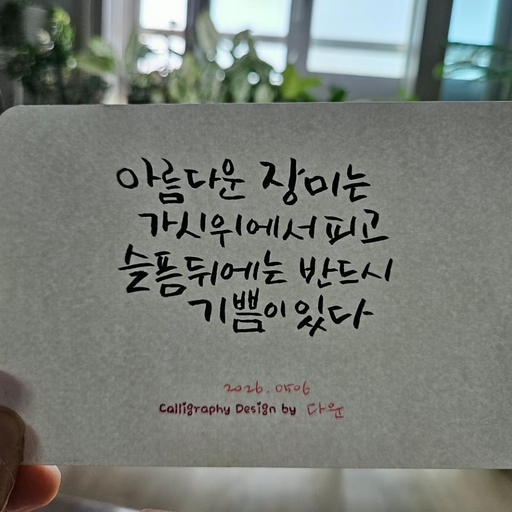 피드 이미지