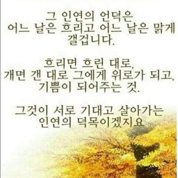 피드에 업로드 된 이미지