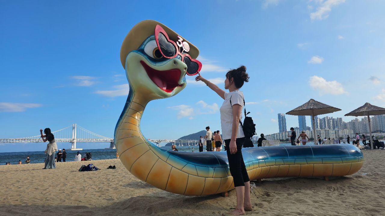 피드 이미지