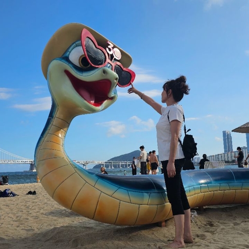 피드 이미지