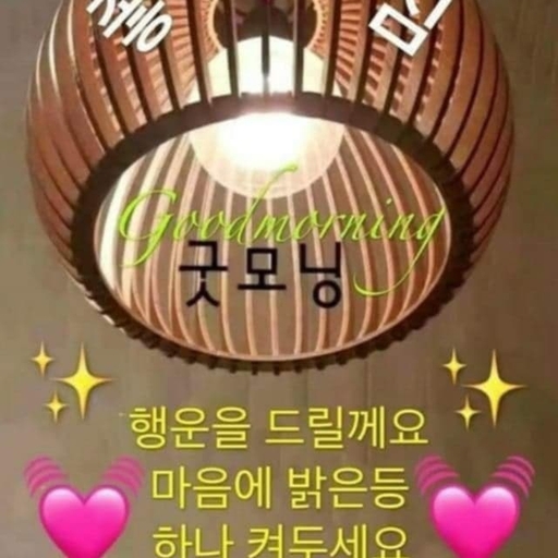 피드 이미지