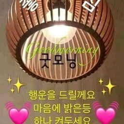 피드에 업로드 된 이미지