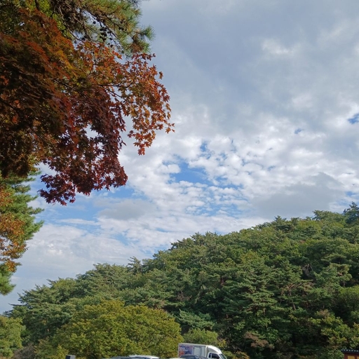 피드 이미지