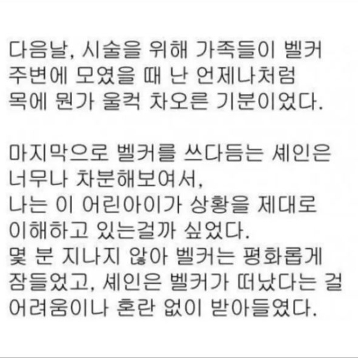 피드 이미지