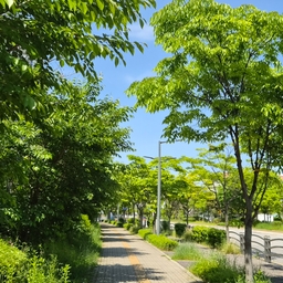 모임 이미지